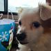 Steven Person - Facebook