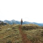 Steven Peterson - @stevenpeterson__ - Instagram