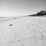 @steven_peterson_ - Instagram