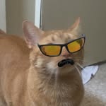 Steven Peterson II - @__catdad0523__ - Instagram