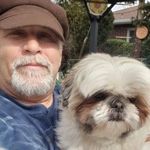Steven Petrella - @petrellasteven - Instagram