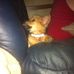 Steve Petrey - Facebook