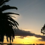Steve Petroff - @heynorton22 - Instagram