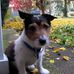Stephen Pettengill - Facebook