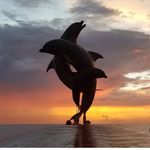 Steven Pettit - @steven.pettit.9 - Instagram