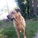Steven Petty - Facebook
