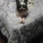 stevenpetty - @stevenpetty1905 - Instagram