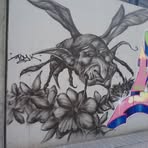 Steven Pfau - Facebook