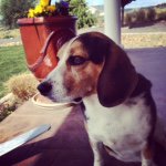 Steven Pfeifer - @ferdiex2 - Instagram