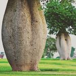 steven philbert - @steven.philbert - Instagram