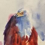 Steve Philbrook - @steve.philbrook - Instagram