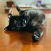 Steven Pinckney - Facebook