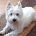Stephen Pinner - Facebook