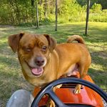 Steven Pittsley - @stevenpittsley32 - Instagram