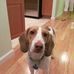Steven Plotnick - Facebook