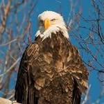 Steven Pohl - @pohlsteven - Instagram