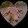 Steven Polanco - @steven.polanco46 - TikTok