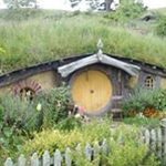 Steven Poli - @stevenpoli - Instagram