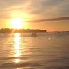 Steve Polizzi789 - @stevepolizzi1 - TikTok
