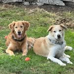 Steven Poppert - @stevenpoppert - Instagram