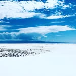 Steve Poteat - @stevepoteat - Instagram