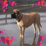 Steven Powers - @steven.powers.3914 - Instagram