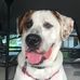 Steve M. Prejean - Facebook