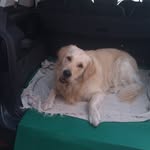 Steve Pridmore - @steve_pridmore - Instagram
