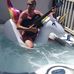 Steven Spigiel - Facebook