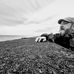Steven Procter - Facebook