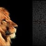 Prophet-Steven Felton - @prophetstevenfelton - Instagram