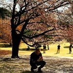 Steve Putz - @steveputz - Instagram