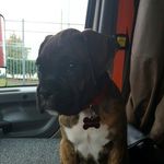 Steve Quade - @kb0vhy67 - Instagram