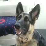 steven quade - @steven_quade - Instagram