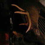 Steven Rackley - @stevenrackley3 - Instagram