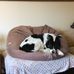Steven Rafferty - Facebook