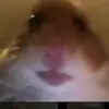 user2964314157345 - @stevenrains45 - TikTok