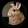 Steven Raj - @stevenraj_22 - TikTok