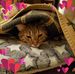 Steve Raley - Facebook