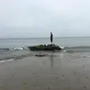 Steven Braley - @stevenbraley - TikTok