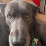Steven Ramey - @ramey4710 - Instagram