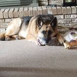 Steve Randazzo - @steverandazzo - Instagram