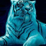 steven ranger - @rangersteven - Instagram