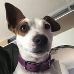 Steven Ranson - @steven.ranson.12 - Instagram