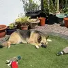 Stephen Ratcliffe - @stephen.ratcliffe3 - TikTok