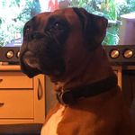 Steven Ratcliffe - @steven.ratcliffe.10 - Instagram