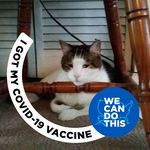 Steven Ratcliffe - @ratcliffe.steven - Instagram