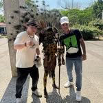 Steven Samuel Razo Lopez - @stevenrazo50 - Instagram
