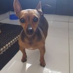 Steven Reddy - @stevenreddy1239 - Instagram