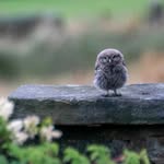 Steven Redman - @hebscapes - Instagram